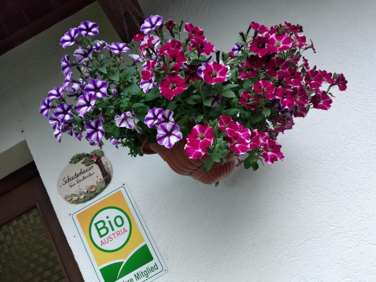 Bio-Bauernhof Schiederhof Apartman Fusch an der Großglocknerstraße Kültér fotó